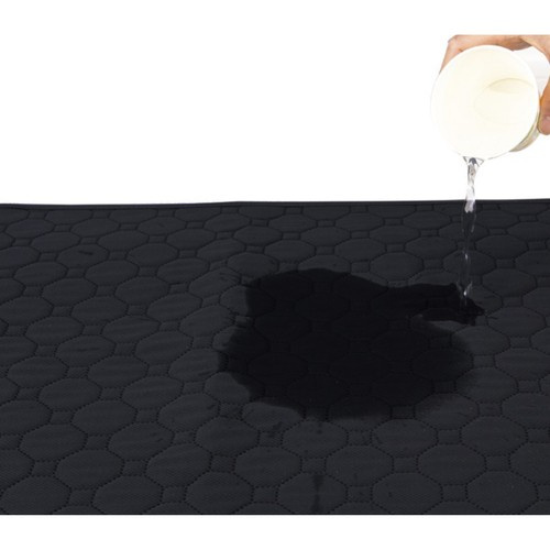 b84430f8b552a1a538ff0b98371faabc