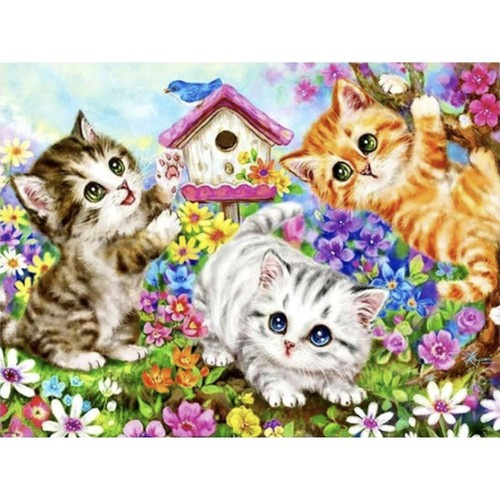 Malowanie po numerach 40x50cm- kotki Maaleo 22781 5 873b2ab7f421ec46b2ed3388e7633c09