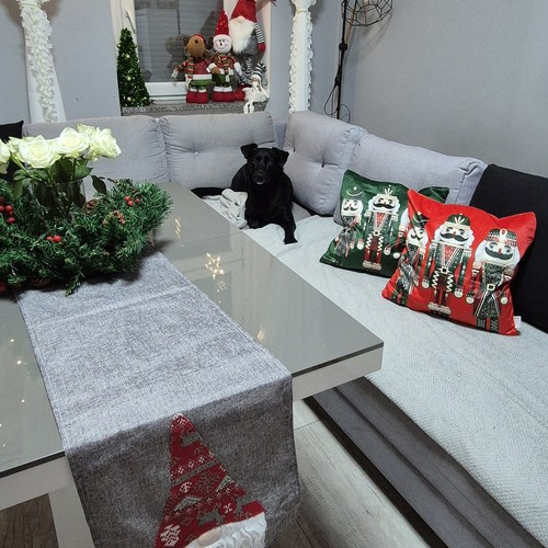 Poszewka dekoracyjna 40x40cm Ruhhy 24729 5 9a981a4a674d37a548d15b231a3acd84