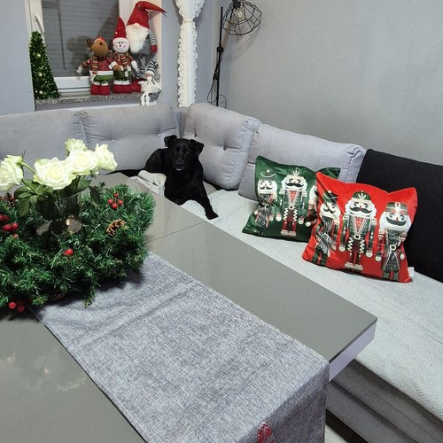 Poszewka dekoracyjna 40x40cm Ruhhy 24729 6 ec7f7bb45966086c62c3fd0383b150f8