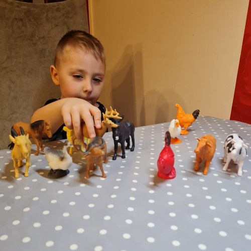 Zwierzęta gospodarskie - zestaw figurek Kruzzel 8 e1fad2203f52b8f9805235208c1baeb2