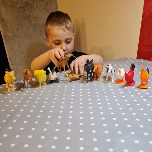 Zwierzęta gospodarskie - zestaw figurek Kruzzel 9 f35f282c74f27457b5d7060133cfab4e