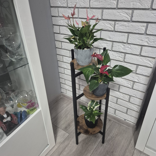 Kwietnik stojący 80cm Ruhhy 25627 8 40e87bdd6caf75b37fdab5fef2943734